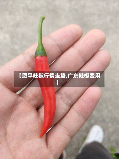 【恩平辣椒行情走势,广东辣椒费用】-第3张图片