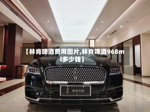 【林肯啤酒费用图片,林肯啤酒968ml多少钱】-第3张图片