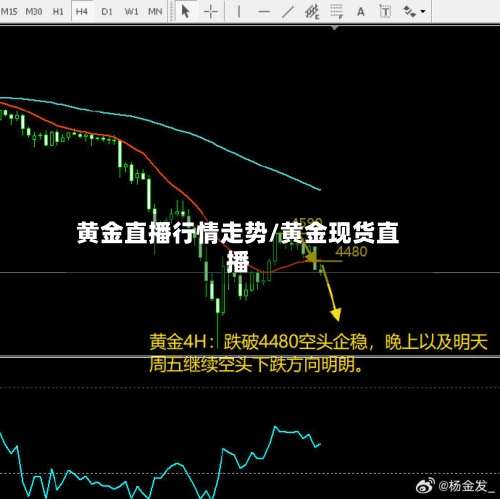 黄金直播行情走势/黄金现货直播-第3张图片