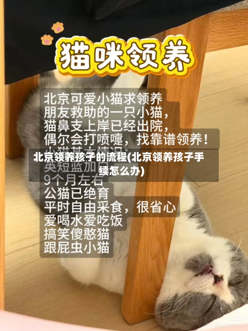 北京领养孩子的流程(北京领养孩子手续怎么办)-第2张图片