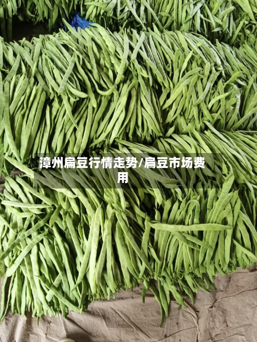 漳州扁豆行情走势/扁豆市场费用