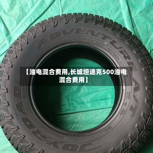 【油电混合费用,长城坦途克500油电混合费用】-第3张图片