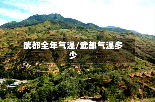武都全年气温/武都气温多少