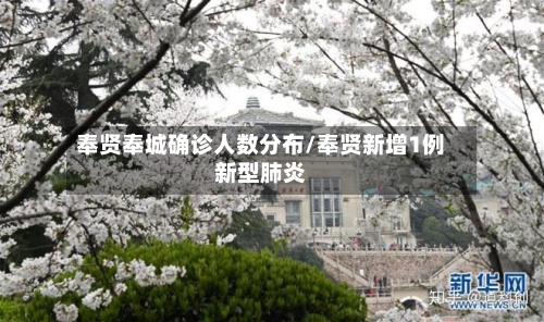 奉贤奉城确诊人数分布/奉贤新增1例新型肺炎-第2张图片