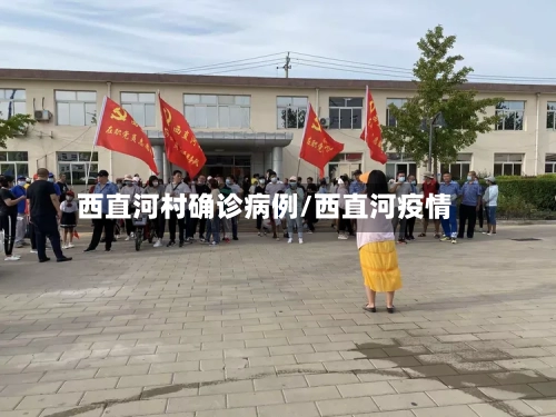 西直河村确诊病例/西直河疫情-第2张图片