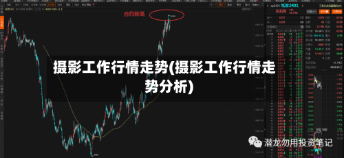 摄影工作行情走势(摄影工作行情走势分析)-第3张图片
