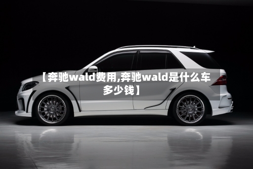 【奔驰wald费用,奔驰wald是什么车多少钱】