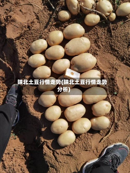 陕北土豆行情走势(陕北土豆行情走势分析)