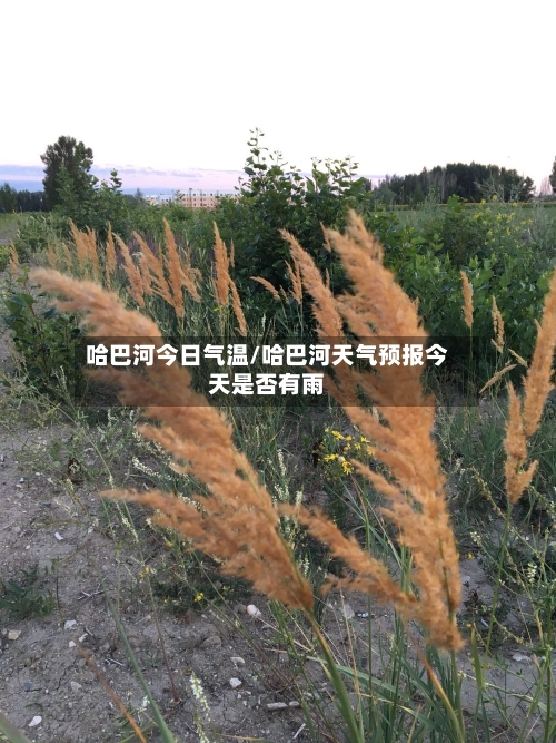 哈巴河今日气温/哈巴河天气预报今天是否有雨-第3张图片