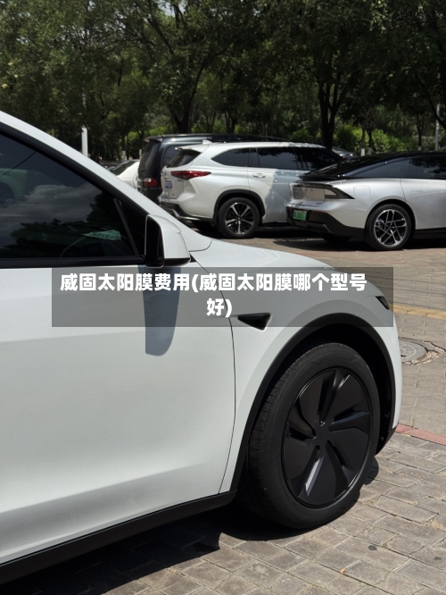 威固太阳膜费用(威固太阳膜哪个型号好)-第3张图片