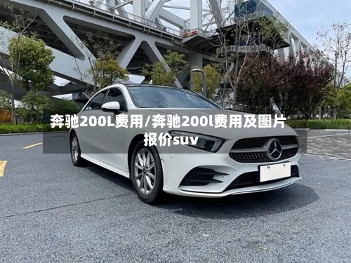 奔驰200L费用/奔驰200l费用及图片报价suv