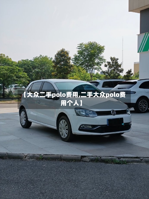 【大众二手polo费用,二手大众polo费用个人】