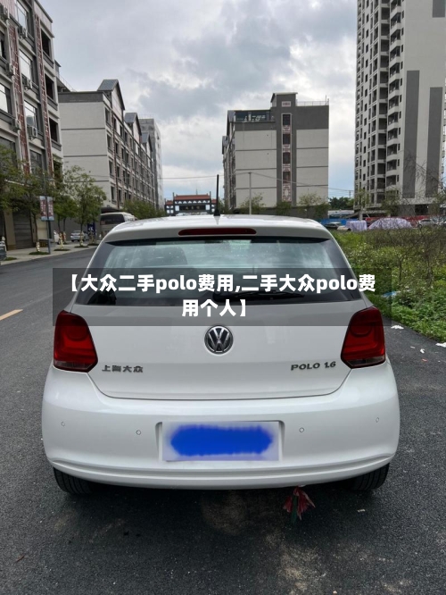 【大众二手polo费用,二手大众polo费用个人】-第3张图片