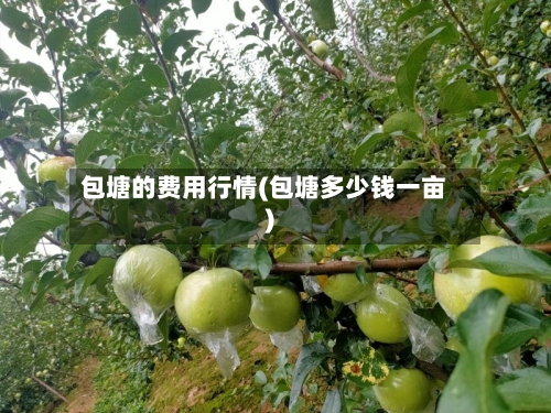 包塘的费用行情(包塘多少钱一亩)