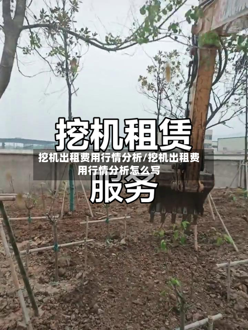 挖机出租费用行情分析/挖机出租费用行情分析怎么写-第2张图片