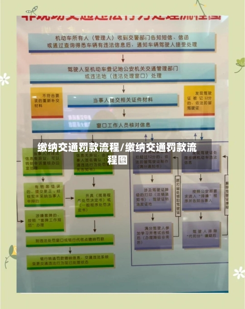 缴纳交通罚款流程/缴纳交通罚款流程图