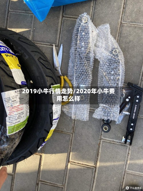 2019小牛行情走势/2020年小牛费用怎么样