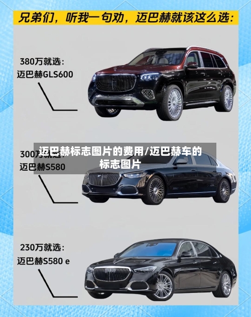 迈巴赫标志图片的费用/迈巴赫车的标志图片