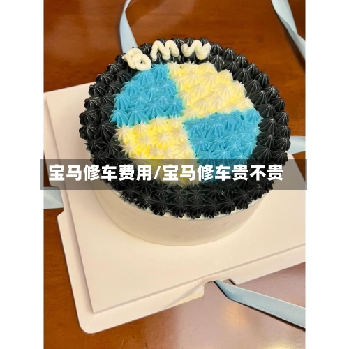 宝马修车费用/宝马修车贵不贵-第2张图片
