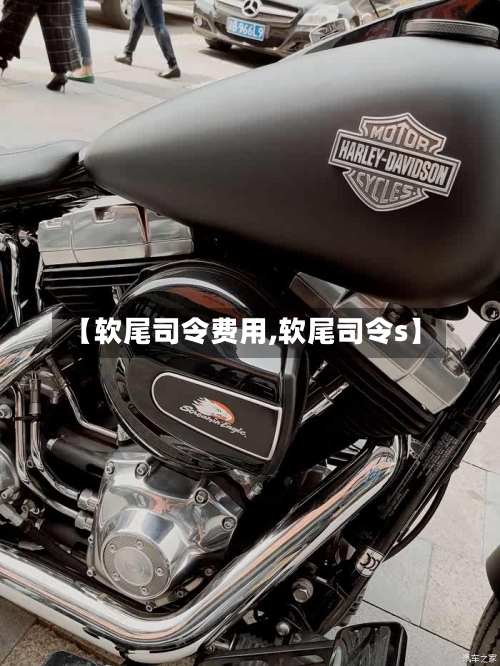 【软尾司令费用,软尾司令s】