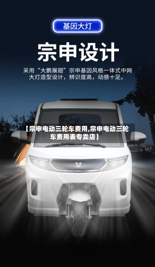 【宗申电动三轮车费用,宗申电动三轮车费用表专卖店】