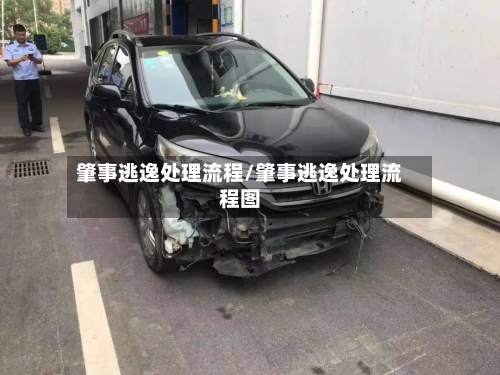 肇事逃逸处理流程/肇事逃逸处理流程图-第3张图片