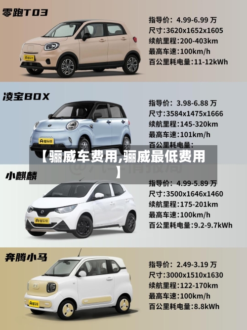 【骊威车费用,骊威最低费用】-第2张图片