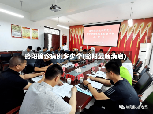 略阳确诊病例多少个(略阳最新消息)