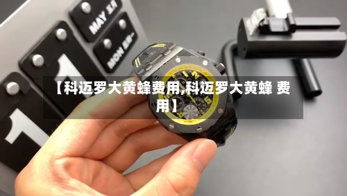 【科迈罗大黄蜂费用,科迈罗大黄蜂 费用】