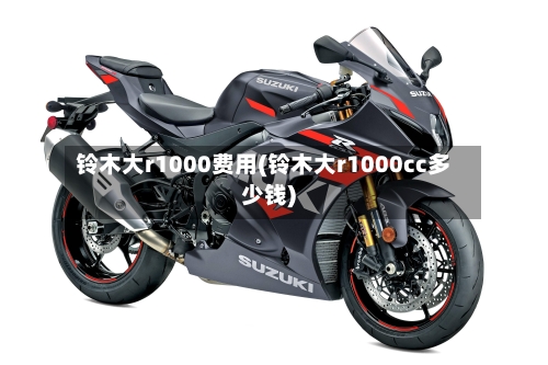 铃木大r1000费用(铃木大r1000cc多少钱)-第3张图片