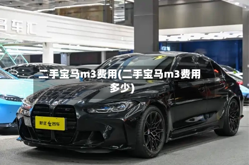 二手宝马m3费用(二手宝马m3费用多少)-第2张图片