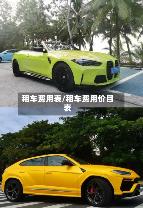 租车费用表/租车费用价目表