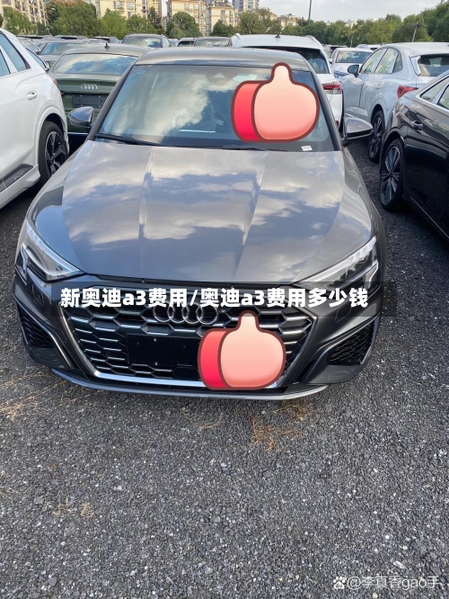 新奥迪a3费用/奥迪a3费用多少钱-第2张图片
