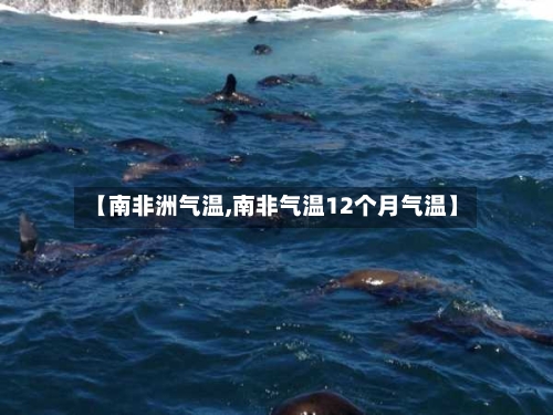 【南非洲气温,南非气温12个月气温】-第3张图片