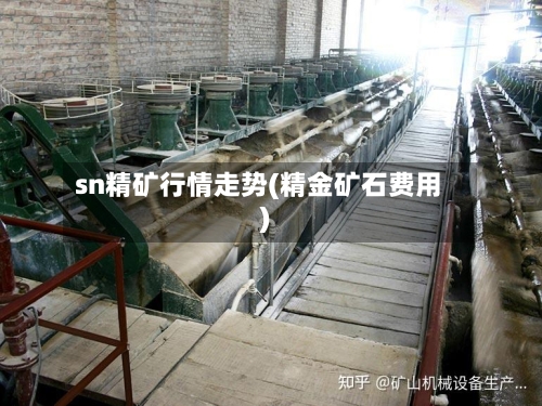 sn精矿行情走势(精金矿石费用)