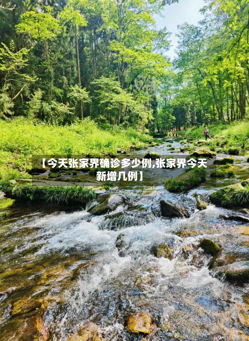 【今天张家界确诊多少例,张家界今天新增几例】-第2张图片