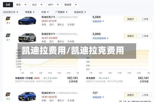 凯迪拉费用/凯迪拉克费用