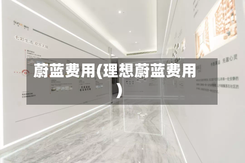 蔚蓝费用(理想蔚蓝费用)