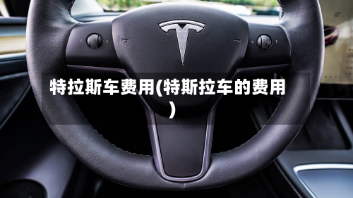 特拉斯车费用(特斯拉车的费用)-第3张图片