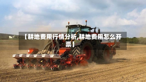 【耕地费用行情分析,耕地费用怎么开票】-第2张图片