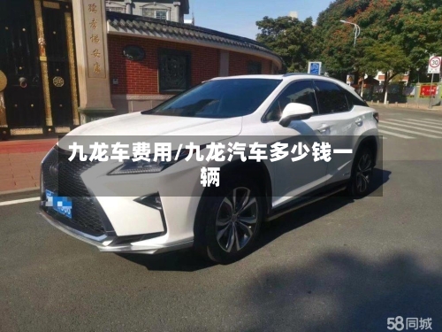 九龙车费用/九龙汽车多少钱一辆-第3张图片