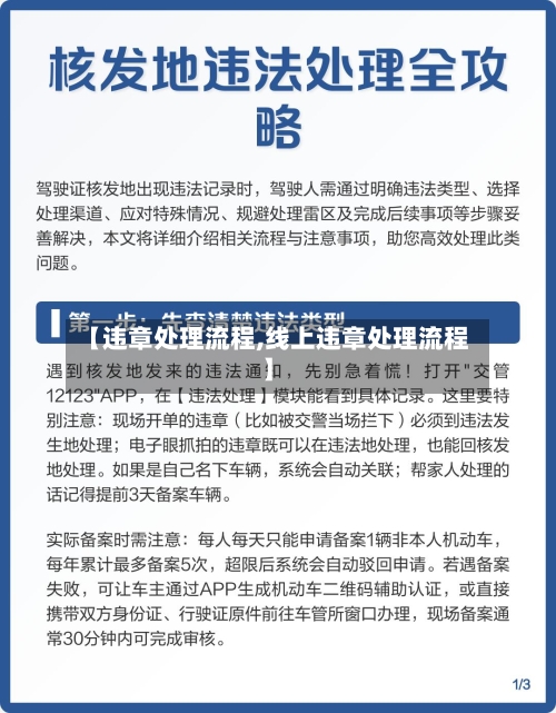 【违章处理流程,线上违章处理流程】