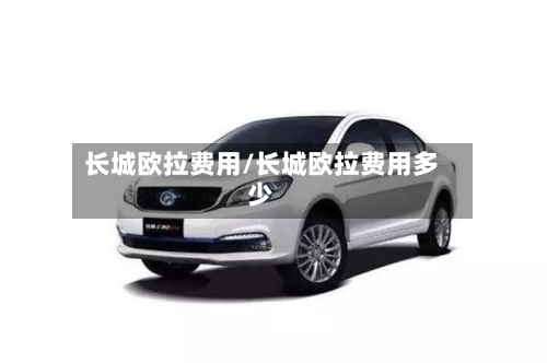 长城欧拉费用/长城欧拉费用多少-第2张图片
