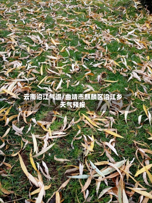 云南沿江气温/曲靖市麒麟区沿江乡天气预报