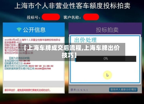 【上海车牌成交后流程,上海车牌出价技巧】-第3张图片