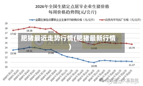 肥猪最近走势行情(肥猪最新行情)-第2张图片